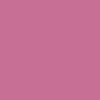 Foba Tulip Gala Pink tło kartonowe