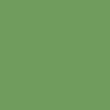 Foba Sage Leaf Green tło kartonowe